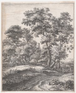 Floresta. de Anthonie Waterloo