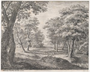 A estrada através da floresta, século XVII. de Anthonie Waterloo