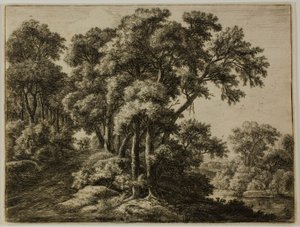 O caminho arborizado de Anthonie Waterloo