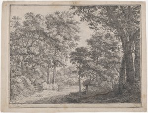 Os Bosques Aparados, século XVII. de Anthonie Waterloo