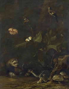Animais e Plantas de Anthonie van Borssom