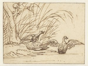 Três patos na beira-mar de Anthonie van Borssom