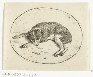Cão reclinador de Anthonie van den Bos