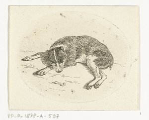 cachorro deitado de Anthonie van den Bos