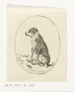 Cão sentado de Anthonie van den Bos