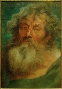 Cabeça de um homem velho de Anthony van Dyck