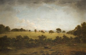 Tabley: O parque com uma vista distante da casa de Anthony Devis