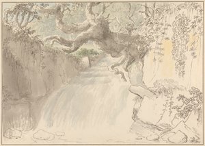 Cascata e tronco de árvore de Anthony Devis