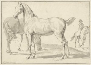 Dois cavalos num prado, um cavaleiro à direita de Anthony Jacobus Offermans