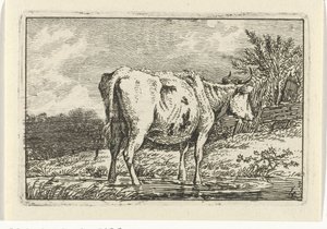 Vaca em pé numa poça
Vacas (título da série)
