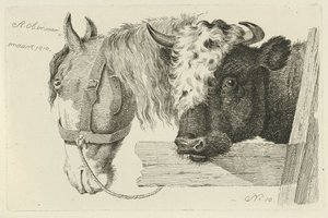 Cabeça de cavalo e cabeça de touro
Estudos de vacas, ovelhas e cabras (título da série)