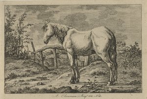 Cavalo em pé
Estudos de vacas, ovelhas e cabras (título da série) de Anthony Oberman