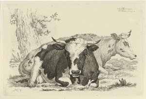 Duas vacas deitadas na frente de uma árvore Estudos de vacas, ovelhas e cabras (título da série)