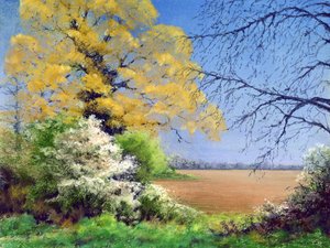 Inverno de Blackthorn, 2003