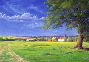 Campo Doméstico, 2004 de Anthony Rule