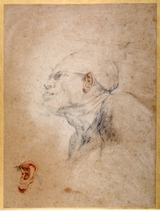Bandagem da cabeça de um homem, sua orelha esquerda ensaiada separadamente (gizes pretos e vermelhos sobre papel) de Anthony van Dyck