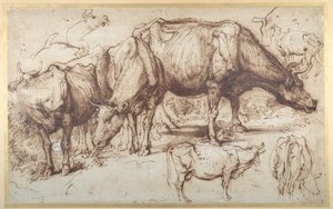 Gado em pastagem, c.1618-20 (caneta e tinta com lavagem em papel) de Anthony van Dyck
