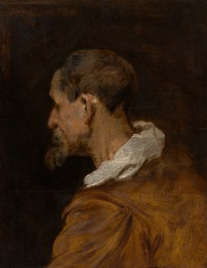 Estudo principal de Anthony van Dyck