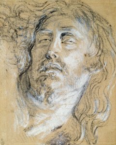 Cabeça do Cristo morto (carvão e giz no papel) de Anthony van Dyck