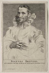 Retrato de Jan Brueghel. de Anthony van Dyck