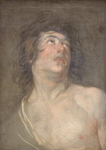 Cabeça de estudo de um jovem olhando para cima. São Sebastião de Anthony van Dyck