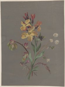 Desenho Floral de Antoine Berjon