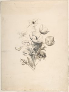 Desenho Floral de Antoine Berjon