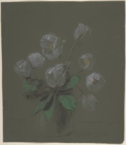 Desenho Floral