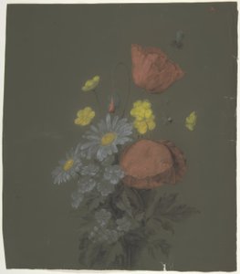Desenho Floral de Antoine Berjon