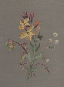 Floresta. de Antoine Berjon