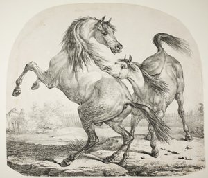 Cavalos selvagens lutando, c.1820 de Antoine Charles Horace Vernet