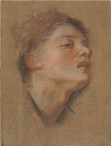 Cabeça de um jovem, 1715-1717. de Antoine Coypel