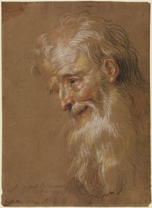 Cabeça de um velho barbudo de Antoine Coypel