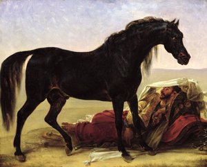 Um cavalo árabe