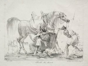 Árabe do deserto, 1817. de Antoine Jean Gros