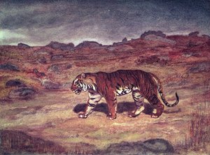Um tigre que caça sua rapina (wc no papel) de Antoine Louis Barye