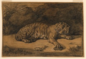 Um tigre e uma tartaruga de Antoine Louis Barye