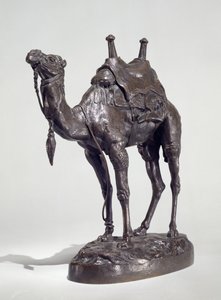 Dromedário Egípcio com Arnês (bronze)