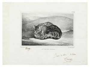 Estudo dos gatos de Antoine Louis Barye