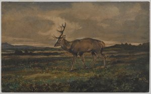 Stag Walking (wc no papel) de Antoine Louis Barye