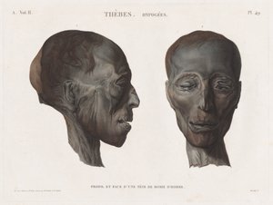Descrição do Egito: Tebas. Hipogeus Vol. II, Pl. 49 de Antoine Maxime Monsaldy