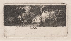 Vista de um bosque