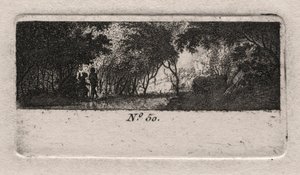 Vista de uma floresta.