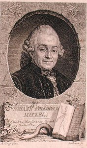 Retrato de Johann Friedrich Meckel (1724-76) gravado por John Schleuen (fl.1740-74) (gravura) de Anton (after) Graff