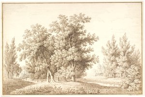 Parque com riacho e pequena cabana