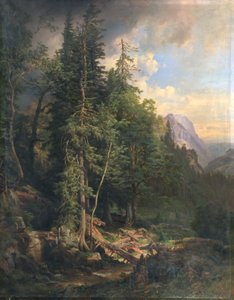 Das florestas montanhosas da Estíria perto de Neuberg