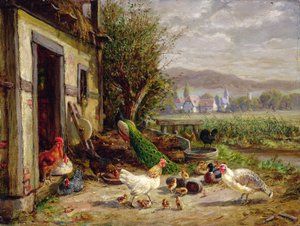 Galinhas, patos e um pavão por um canal de Anton Hoffmann