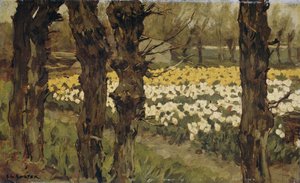 Campos de tulipas de Anton L. Koster