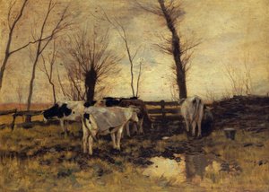 Vacas no prado de Anton Mauve