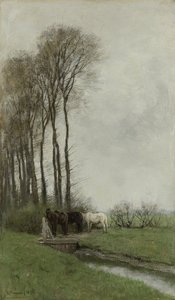 Cavalos na cerca de Anton Mauve